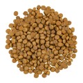 Savory Karma Sucha dla Kotów Dorosłych CATFRESH SALMON&amp;WHITE FISH Łośoś i Białe Ryby 400g