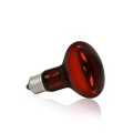 Żarówka Grzewcza Nocna Terra Night Heat 100W