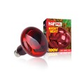 Żarówka Grzewcza Nocna Terra Night Heat 100W