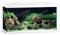 Juwel Primo 110 l 2.0 Kompletny Zestaw Akwarium Białe 81x36x45cm