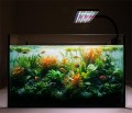 Happet AquaLED PLANT Lampka LED Color 17W do Zbiorników Otwartych Nano Akwariów