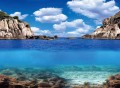 Aqua Nova Tło Dwustronne Do Akwarium Fototapeta Plants / Ocean XL 150x60cm