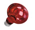 Żarówka Grzewcza Nocna Terra Night Heat 25W