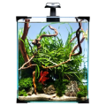 Zestaw Akwarystyczny Startowy dla Początkujących 20l nanoLED 25x25x30 LED 5,3W z Filtrem Grzałką