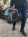 TRANSPORTER Zolux GULLIVER 3 DLA PSA KOTA KRÓLIKA 61x40x38cm PLASTIKOWE DRZWI do 12kg Miętowy