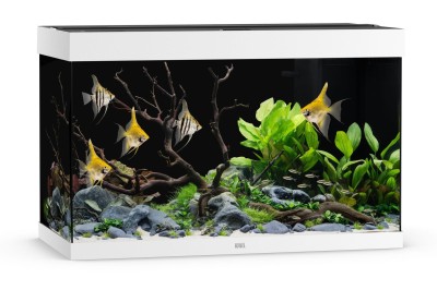Juwel Rio 290l 101x51x66cm Zestaw Akwarium Białe