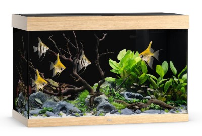 Juwel Rio 290l 101x51x66cm Zestaw Akwarium Jasne Drewno Dąb