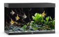 Juwel Rio 290l 101x51cm Kompletny Zestaw z Szafką Czarny Filtr Grzałka LED