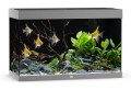 Juwel Rio 290l 101x51cm Kompletny Zestaw z Szafką Szary Filtr Grzałka LED
