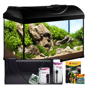 Zestaw akwarystyczny, startowy dla początkujących 37,5l Startup 50 50x25x30 LED Expert 10W z filtrem wewnętrznym i grzałką z 50W