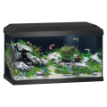 Juwel Primo 60l 2.0 Kompletny Zestaw Akwarium Czarne 61x31x37cm