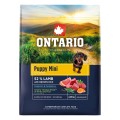 ONTARIO PUPPY MINI LAMB & BROWN RICE 2,25KG Karma dla Szczeniąt z Jagnięciną i Ryżem Brązowym