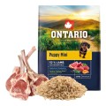 ONTARIO PUPPY MINI LAMB & BROWN RICE 2,25KG Karma dla Szczeniąt z Jagnięciną i Ryżem Brązowym