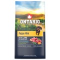 ONTARIO PUPPY MINI LAMB & BROWN RICE 6,5KG Karma dla Szczeniąt z Jagnięciną i Ryżem Brązowym