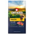 ONTARIO PUPPY MINI LAMB & BROWN RICE 6,5KG Karma dla Szczeniąt z Jagnięciną i Ryżem Brązowym