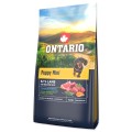 ONTARIO PUPPY MINI LAMB & BROWN RICE 6,5KG Karma dla Szczeniąt z Jagnięciną i Ryżem Brązowym