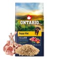 ONTARIO PUPPY MINI LAMB & BROWN RICE 6,5KG Karma dla Szczeniąt z Jagnięciną i Ryżem Brązowym