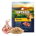ONTARIO ADULT MINI LAMB&BROWN RICE 2,25KG Karma dla Dorosłych Psów z Jagnięciną i Ryżem Brązowym