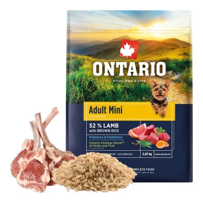 ONTARIO ADULT MINI LAMB&BROWN RICE 2,25KG Karma dla Dorosłych Psów z Jagnięciną i Ryżem Brązowym