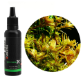 YOKUCHI GEN NANO X Płynny Nawóz do Akwarium ALL IN 1 400ml