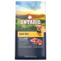 ONTARIO ADULT MINI LAMB&BROWN RICE 6,5KG Karma dla Dorosłych Psów z Jagnięciną i Ryżem Brązowym