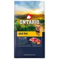 ONTARIO ADULT MINI LAMB&BROWN RICE 6,5KG Karma dla Dorosłych Psów z Jagnięciną i Ryżem Brązowym