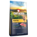 ONTARIO ADULT MINI LAMB&BROWN RICE 6,5KG Karma dla Dorosłych Psów z Jagnięciną i Ryżem Brązowym