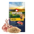 ONTARIO ADULT MINI LAMB&BROWN RICE 6,5KG Karma dla Dorosłych Psów z Jagnięciną i Ryżem Brązowym