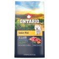 ONTARIO SENIOR MINI LAMB&BROWN RICE 6,5KG Karma dla Starszych Psów z Jagnięciną i Ryżem Brązowym