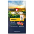 ONTARIO SENIOR MINI LAMB&BROWN RICE 6,5KG Karma dla Starszych Psów z Jagnięciną i Ryżem Brązowym
