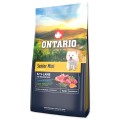 ONTARIO SENIOR MINI LAMB&BROWN RICE 6,5KG Karma dla Starszych Psów z Jagnięciną i Ryżem Brązowym