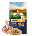 ONTARIO SENIOR MINI LAMB&BROWN RICE 6,5KG Karma dla Starszych Psów z Jagnięciną i Ryżem Brązowym