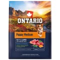 ONTARIO PUPPY MEDIUM LAMB&BROWN RICE 2,25KG Karma dla Szczeniąt Średnich Ras z Jagnięciną i Ryżem Brązowym
