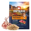 ONTARIO PUPPY MEDIUM LAMB&BROWN RICE 2,25KG Karma dla Szczeniąt Średnich Ras z Jagnięciną i Ryżem Brązowym