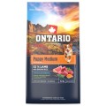 ONTARIO PUPPY MEDIUM LAMB&BROWN RICE 6,5KG Karma dla Szczeniąt Średnich Ras z Jagnięciną i Ryżem Brązowym