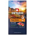 ONTARIO PUPPY MEDIUM LAMB&BROWN RICE 6,5KG Karma dla Szczeniąt Średnich Ras z Jagnięciną i Ryżem Brązowym