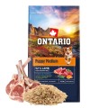 ONTARIO PUPPY MEDIUM LAMB&BROWN RICE 6,5KG Karma dla Szczeniąt Średnich Ras z Jagnięciną i Ryżem Brązowym