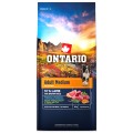 ONTARIO ADULT MEDIUM LAMB&BROWN RICE 12KG Karma dla Dorosłych Psów Średnich Ras z Jagnięciną i Ryżem Brązowym