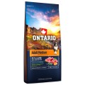 ONTARIO ADULT MEDIUM LAMB&BROWN RICE 12KG Karma dla Dorosłych Psów Średnich Ras z Jagnięciną i Ryżem Brązowym