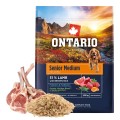 ONTARIO SENIOR MEDIUM LAMB&BROWN RICE 2,25KG Karma dla Starszych Psów Średnich Ras z Jagnięciną i Ryżem Brązowym