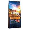 ONTARIO SENIOR MEDIUM LAMB&BROWN RICE 12KG Karma dla Starszych Psów Średnich Ras z Jagnięciną i Ryżem Brązowym