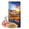 ONTARIO SENIOR MEDIUM LAMB&BROWN RICE 12KG Karma dla Starszych Psów Średnich Ras z Jagnięciną i Ryżem Brązowym