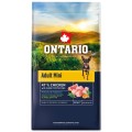 ONTARIO ADULT MINI CHICKEN&SWEET POTATOES 6,5KG Karma dla Dorosłych Psów Małych Ras z Kurczakiem i Słodkim Ziemniakiem
