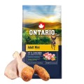 ONTARIO ADULT MINI CHICKEN&SWEET POTATOES 6,5KG Karma dla Dorosłych Psów Małych Ras z Kurczakiem i Słodkim Ziemniakiem