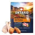 ONTARIO ADULT MEDIUM CHICKEN&SWEET POTATOES 2,25KG Karma dla Dorosłych Psów Średnich Ras z Kurczakiem i Słodkim Ziemniakiem