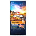 ONTARIO ADULT MEDIUM CHICKEN&SWEET POTATOES 12KG Karma dla Dorosłych Psów Średnich Ras z Kurczakiem i Słodkim Ziemniakiem