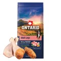 ONTARIO ADULT LARGE CHICKEN&SWEET POTATOES 12KG Karma dla Dorosłych Psów Dużych Ras z Kurczakiem i Słodkim Ziemniakiem