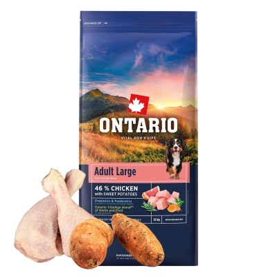ONTARIO ADULT LARGE CHICKEN&SWEET POTATOES 12KG Karma dla Dorosłych Psów Dużych Ras z Kurczakiem i Słodkim Ziemniakiem