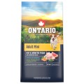 ONTARIO ADULT MINI FISH&BROWN RICE 6,5KG Karma dla Dorosłych Psów Małych Ras z Białą Rybą i Ryżem Brązowym