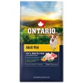 ONTARIO ADULT MINI FISH&BROWN RICE 6,5KG Karma dla Dorosłych Psów Małych Ras z Białą Rybą i Ryżem Brązowym